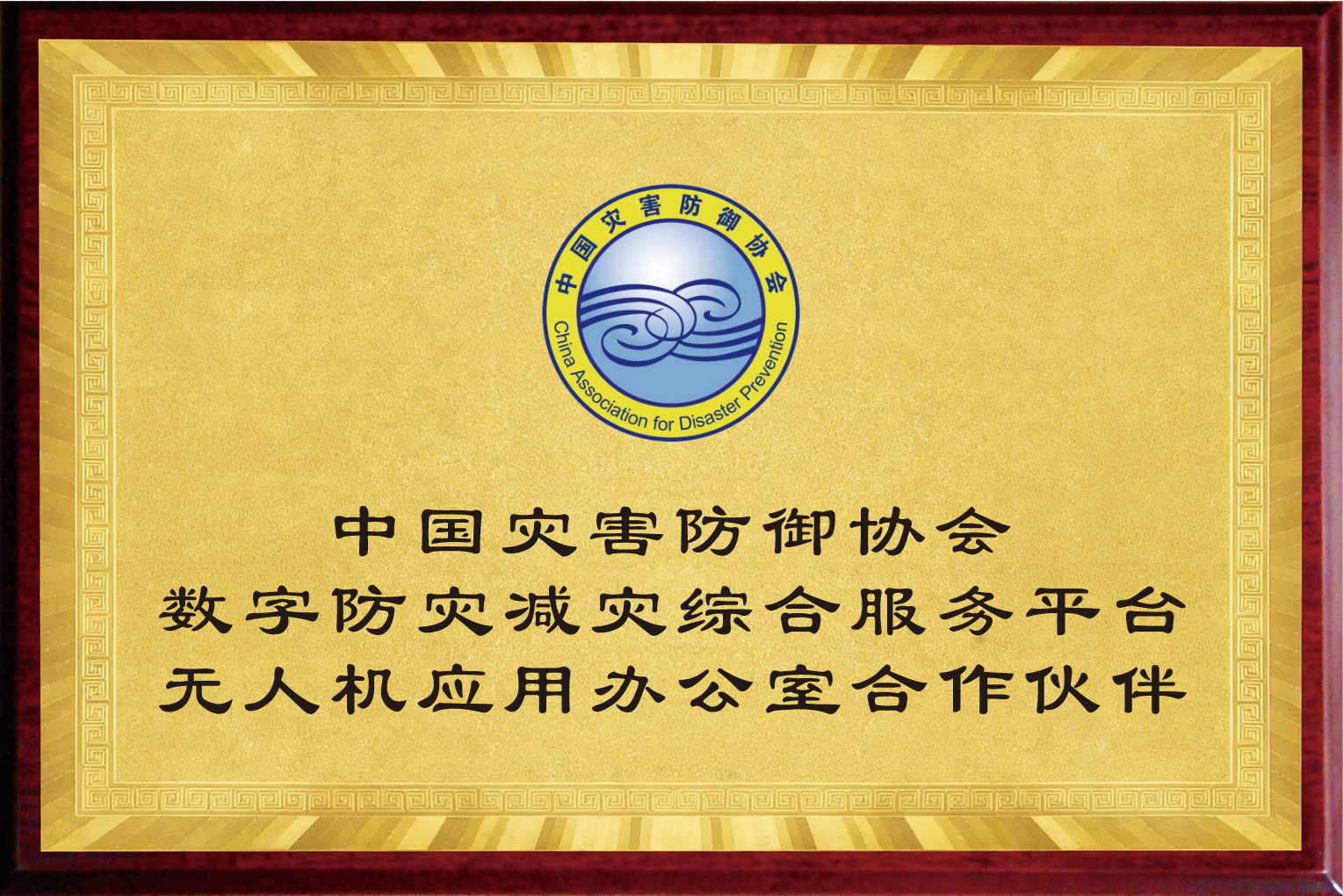合作伙伴6